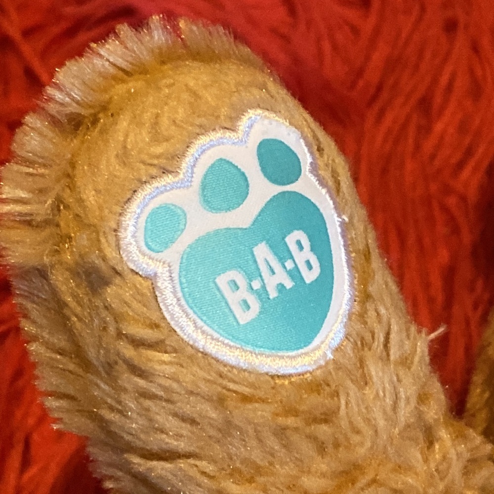 Build A Bear Teddy - Picture 2 of 6